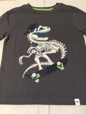 Tommy Bahama boys dinosaur skakeboard short sleeve t shirt size 24M Gray Crew